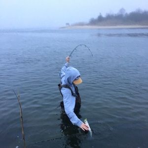 Meet your Posher, Jordan